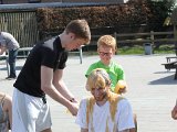 IMG 1978